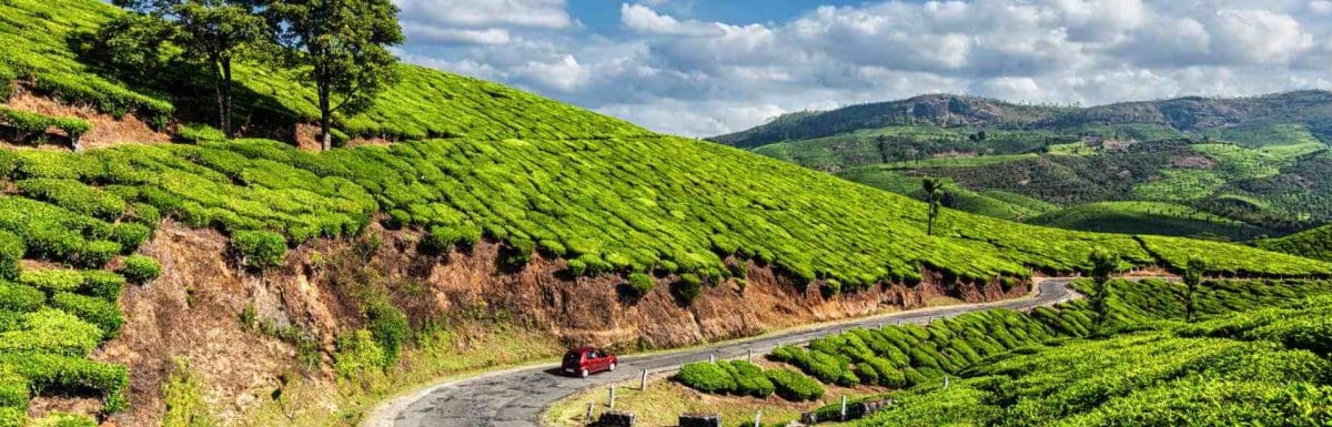 kerala-in-november-munnar