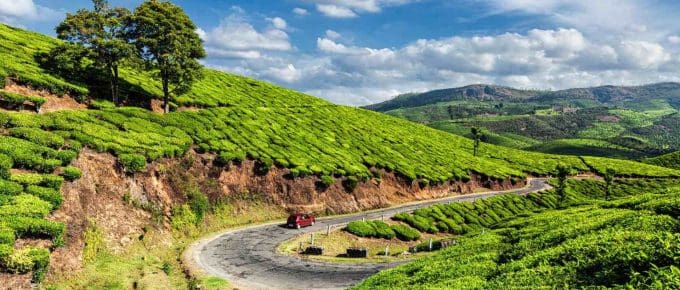 kerala-in-november-munnar