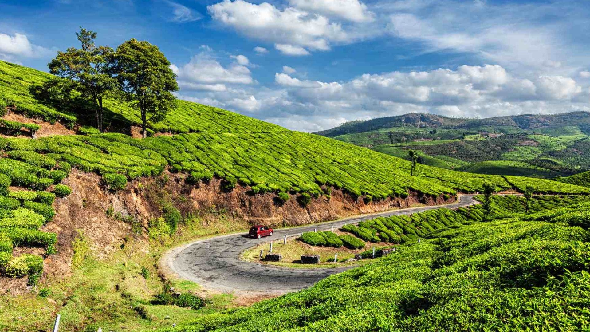 Kerala in November 