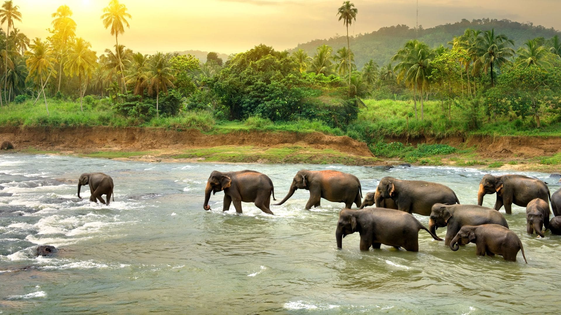 kerala-in-november-thekkady