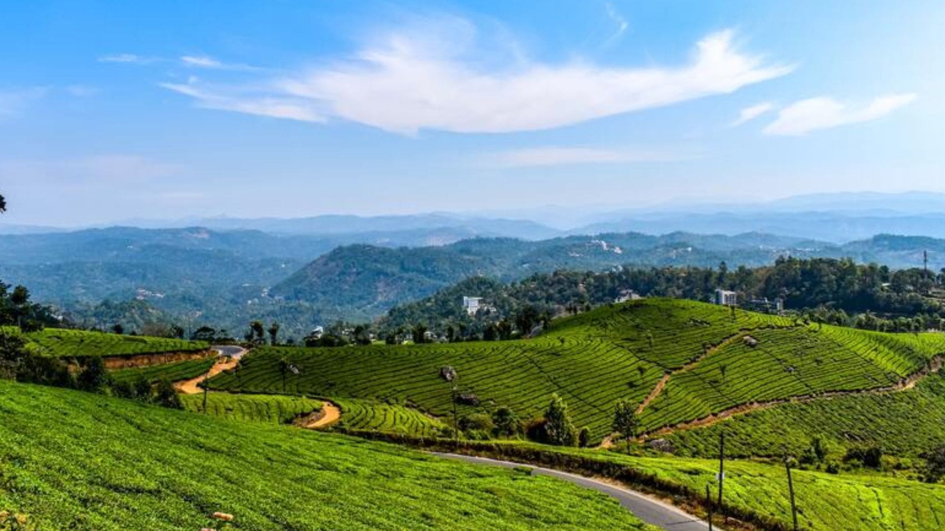 munnar-to-kodaikanal