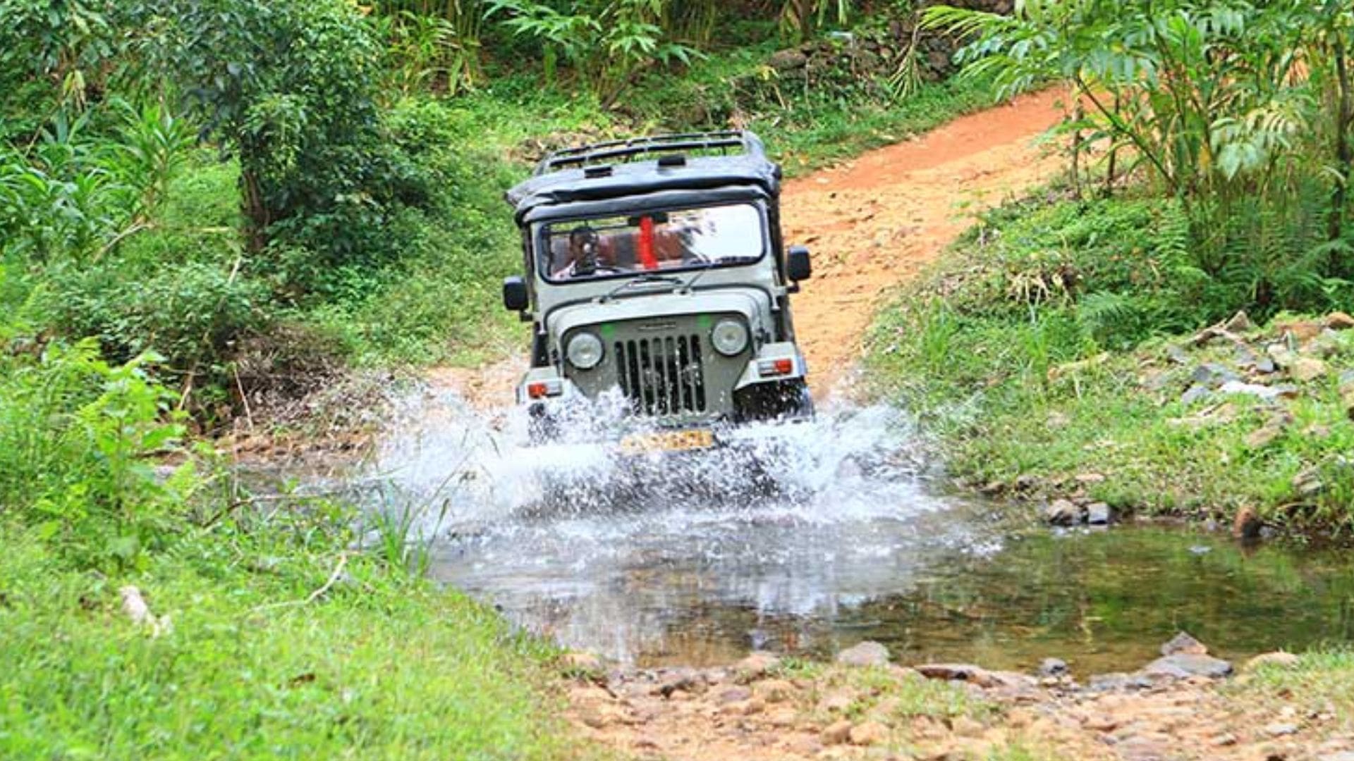 thekkady-wildlife