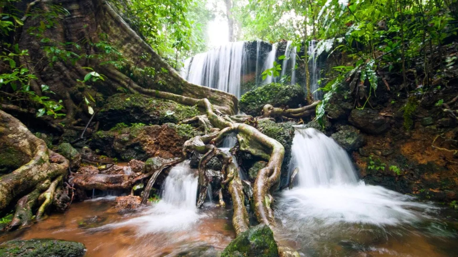 Agumbe