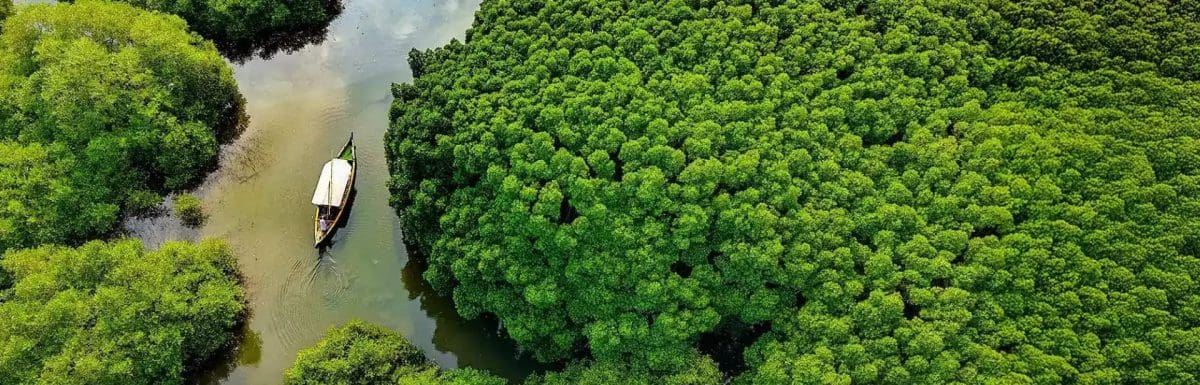 kerala-in-december-kozhikode