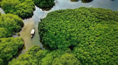 kerala-in-december-kozhikode