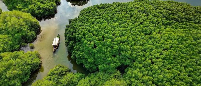 kerala-in-december-kozhikode