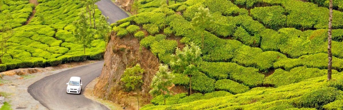 munnar-itinerary-for-2-days