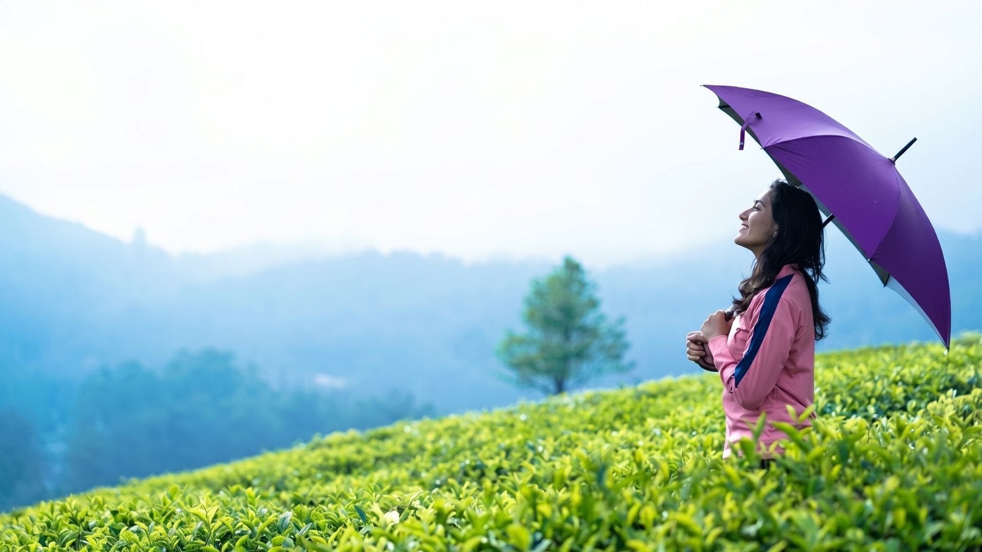 munnar-in-june