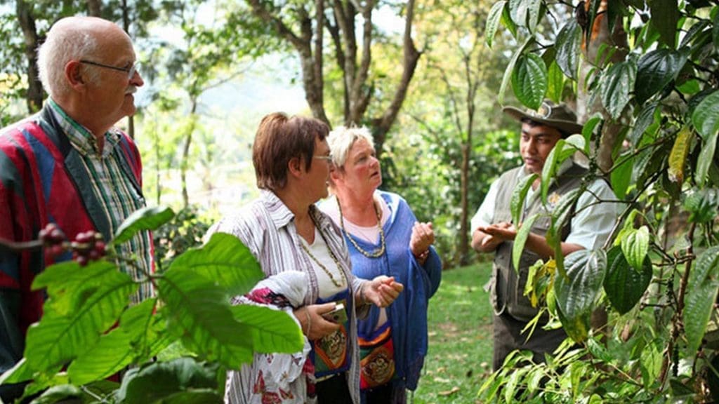 spice-garden-kerala