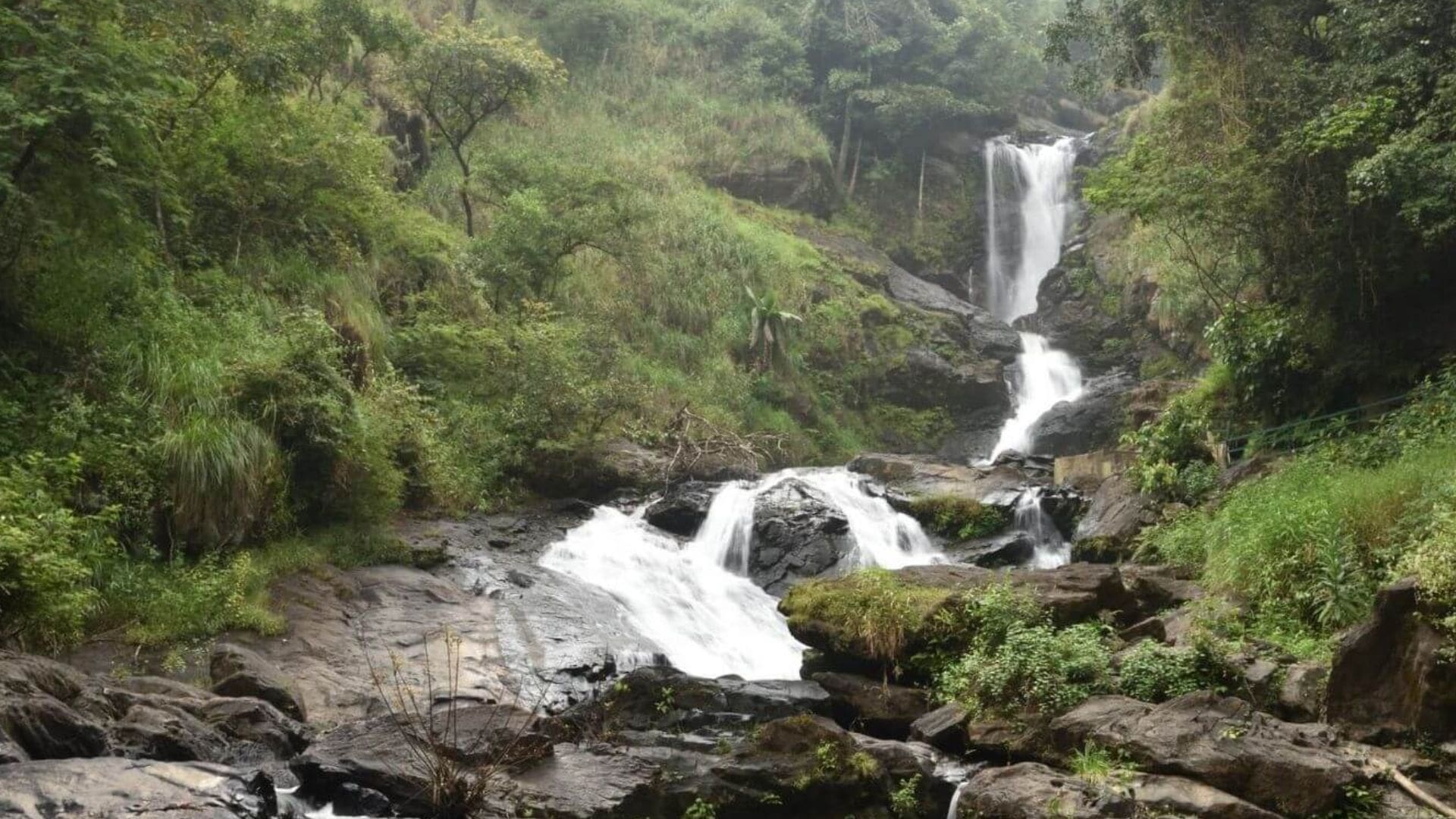 iruppu-falls-trek-coorg