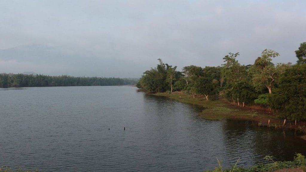 the-dam-backwaters