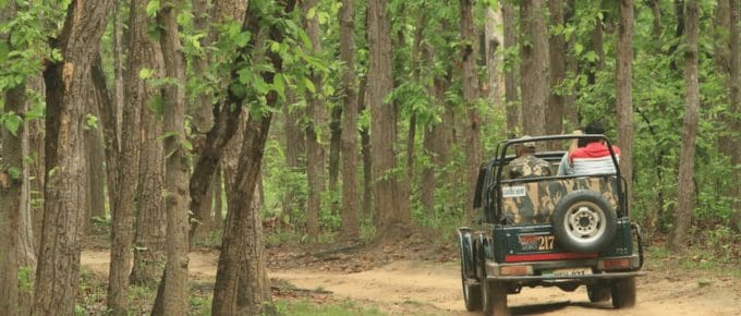 things-to-do-in-mudumalai