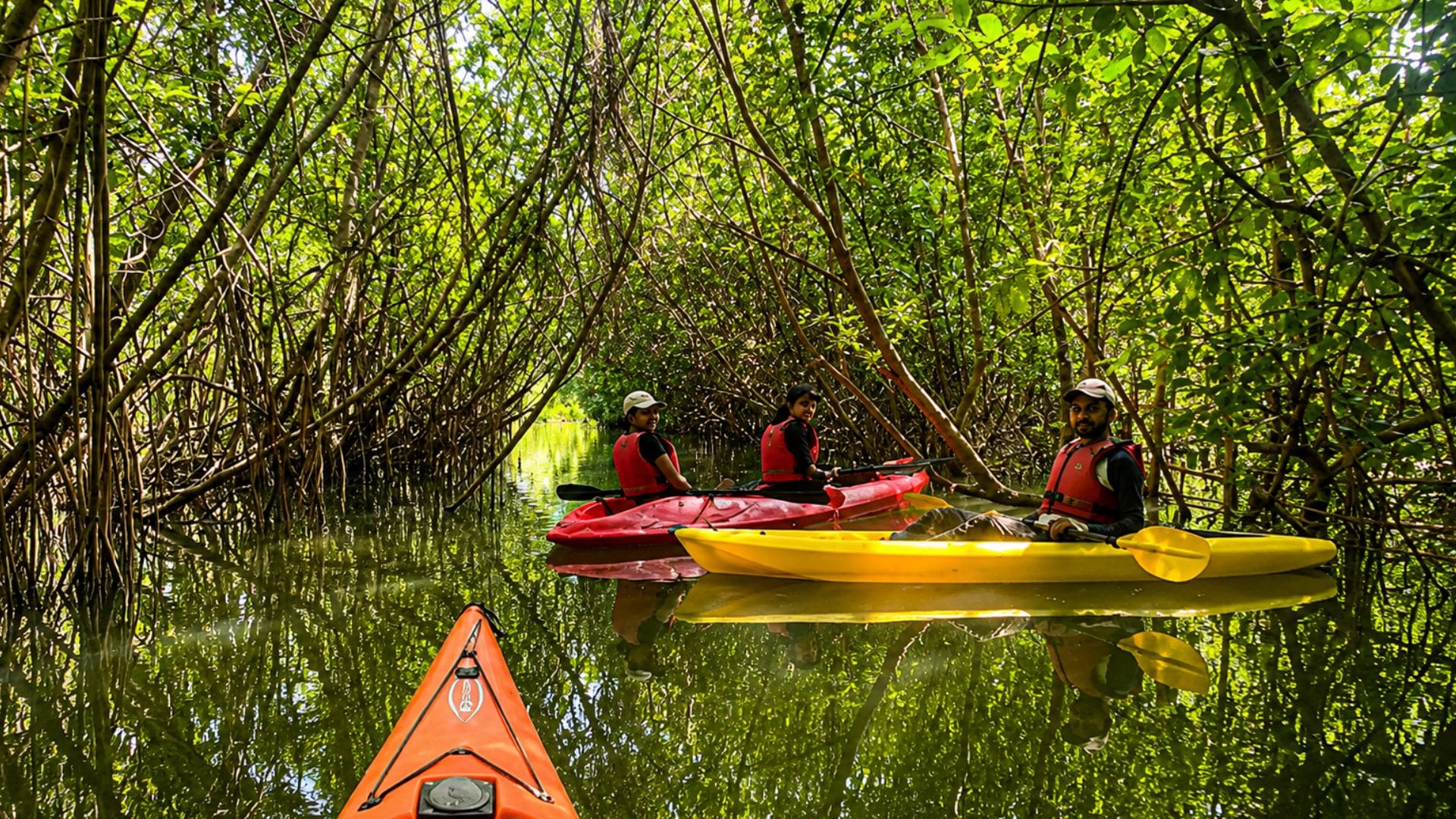 mangrove-backwater-kayaking