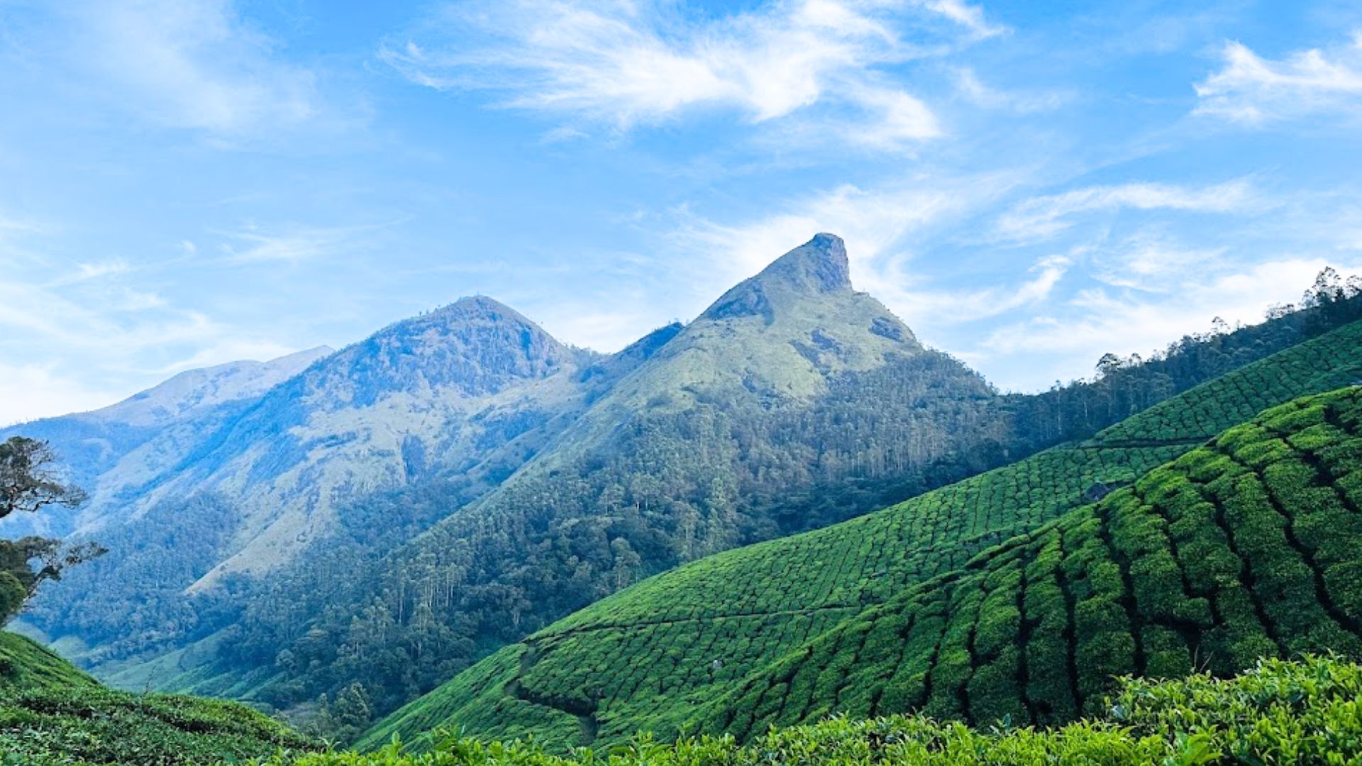 kolukkumalai-view-point